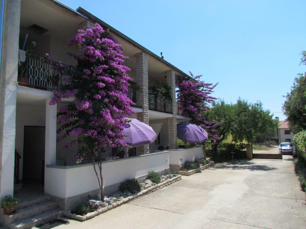 Apartments Pipi Пакоштане Екстер'єр фото